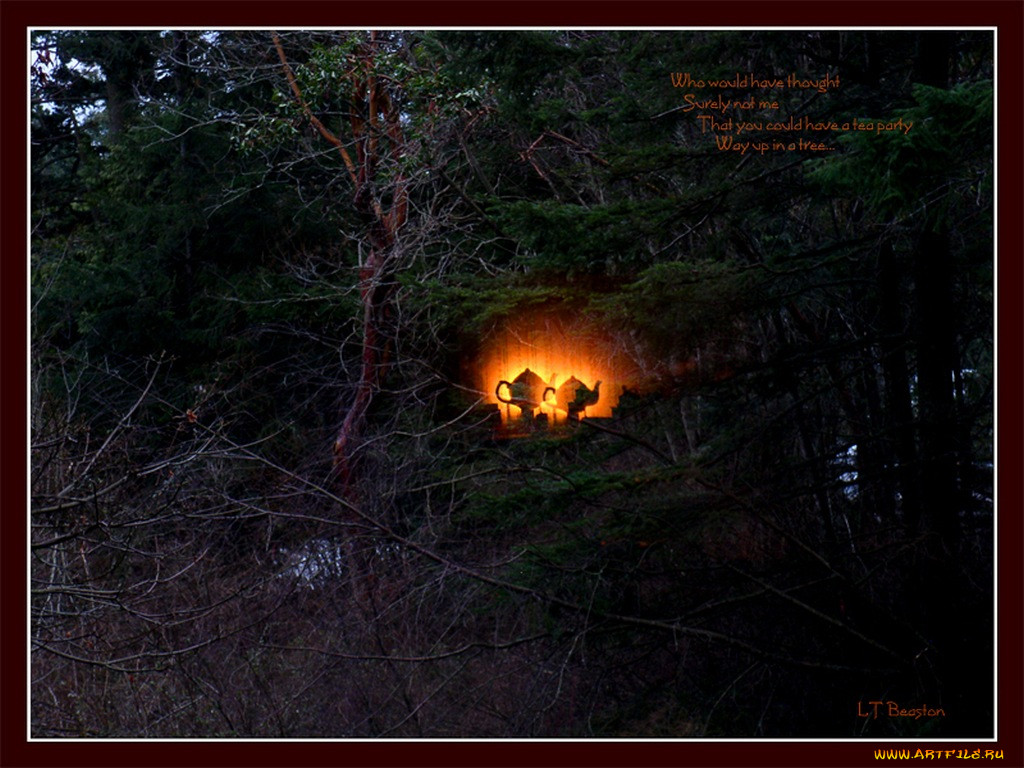 two, teapots, in, tree, by, duckinthefog, , 